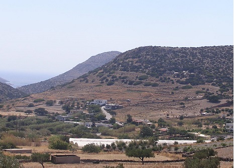 Island fields